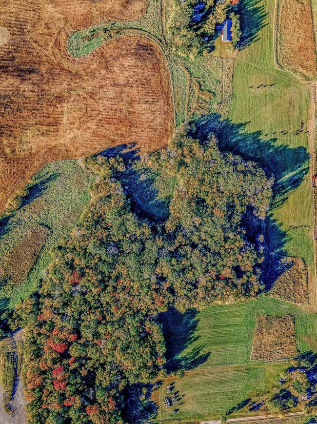 301X Nelson Rd, Delano, MN 55328 - photo 6