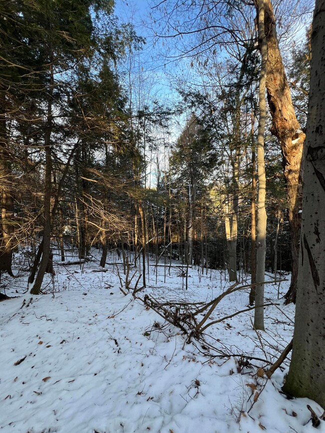 . Lewis Rd, Chateaugay, NY 12920 - photo 6