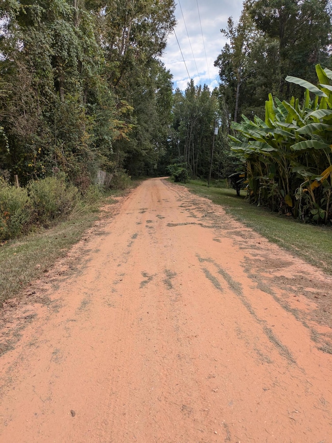 84 Oatis Camp Ln, Columbia, MS 39429 - photo 2