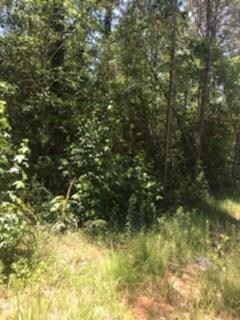 Looking to your right while standing in front of lot 3.