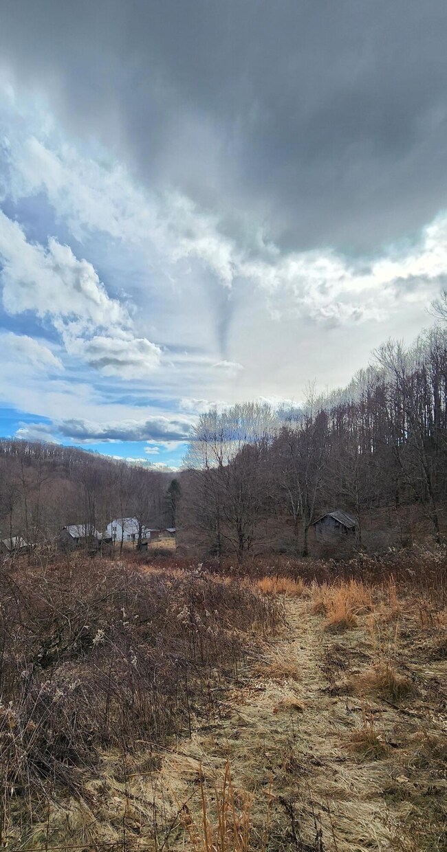 Simms Mountain Farm 002