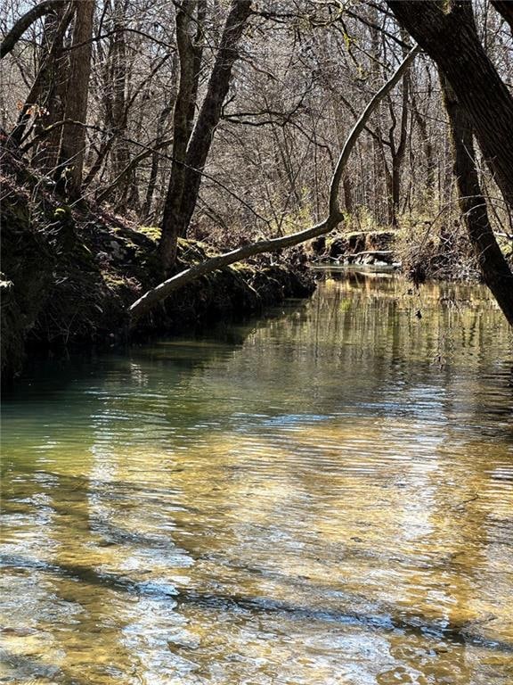 0 Conniston Rd unit 7575463, Chatsworth, GA 30705 - photo 6