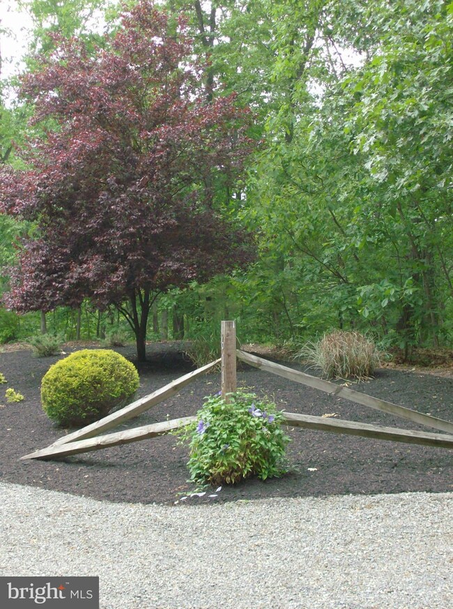 611 Hawks Nest I, Berkeley Springs, WV 25411 - photo 3