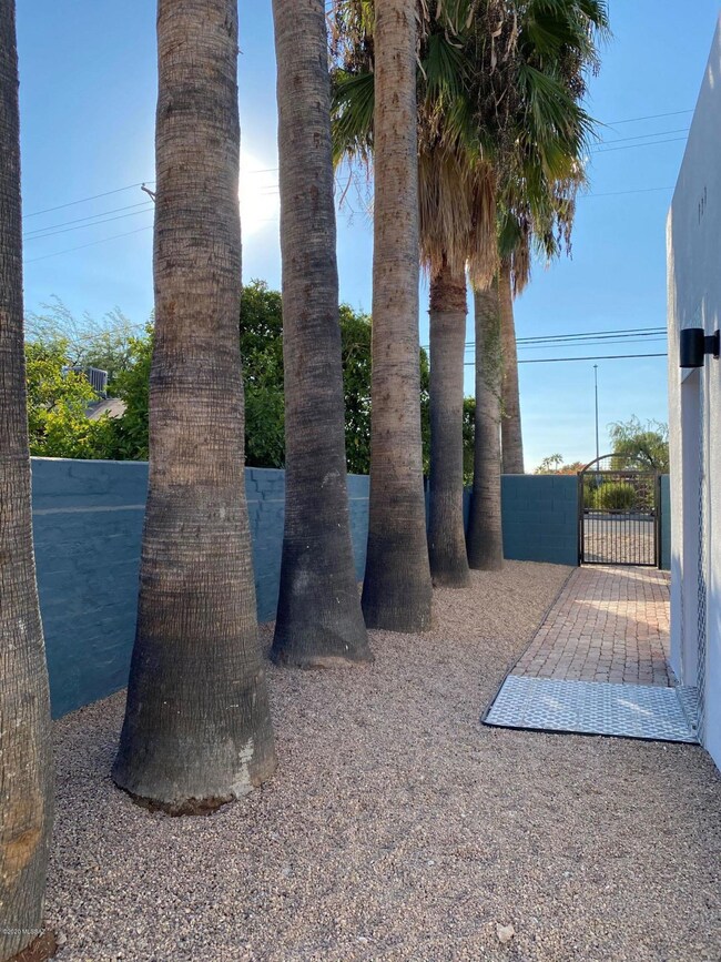 1016 N Campbell Ave unit 1, Tucson, AZ 85719 - photo 5