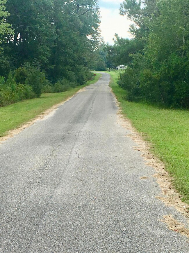 18 Jub Hickman Rd, Perkinston, MS 39573 - photo 3