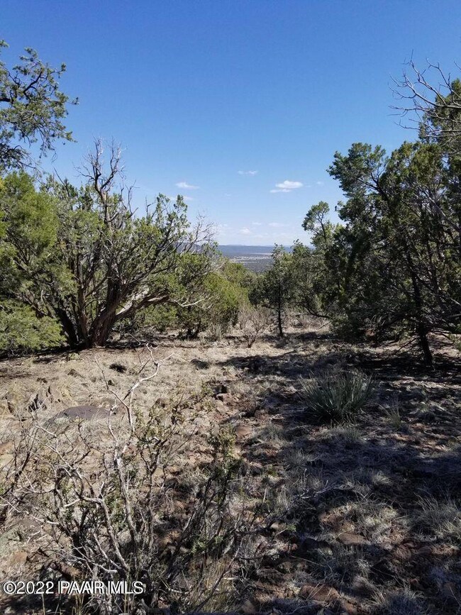 1147 Floyd Ranch Rd, Seligman, AZ 86337 - photo 3