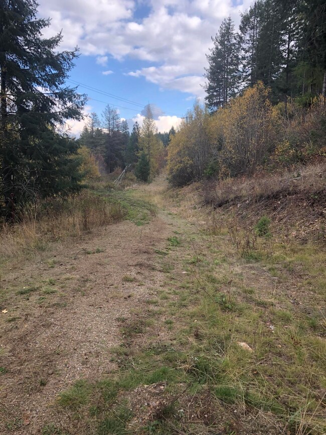 2190 Heine Rd, Chewelah, WA 99109 - photo 2