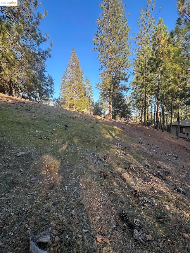 13-315 Ridgecrest Way, Groveland, CA 95321 - photo 5