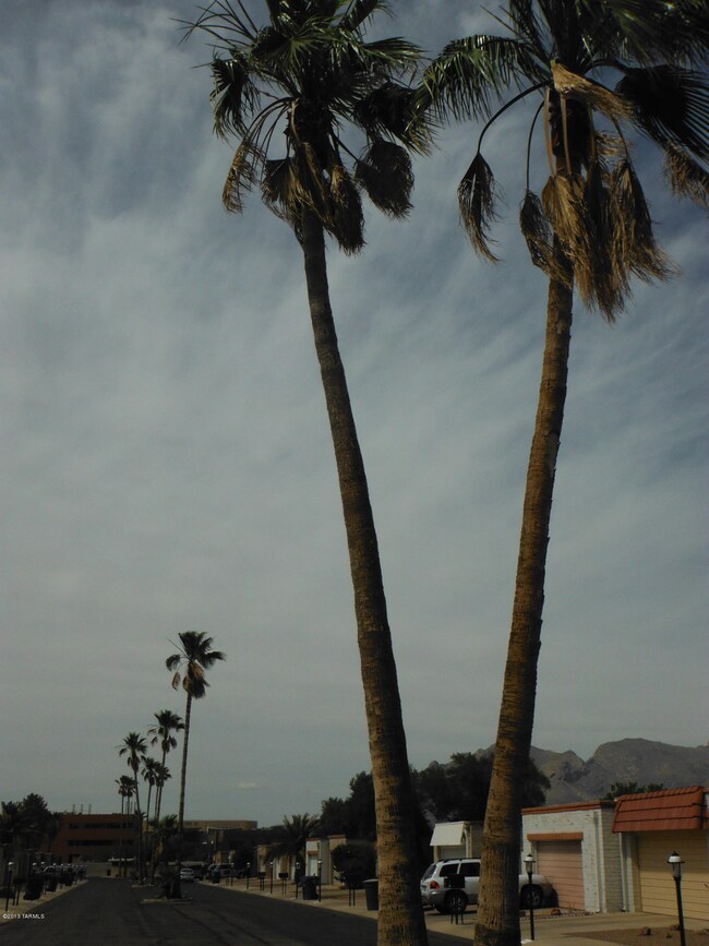 DSCF0375
