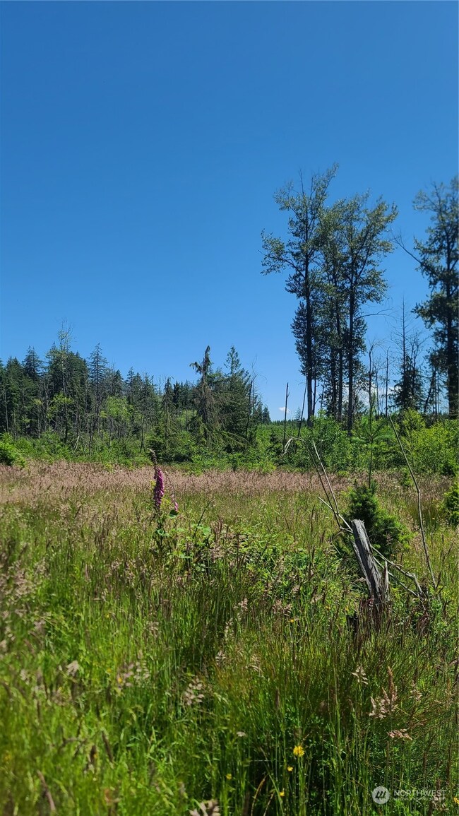 0 Logan Hill Rd unit NWM2254517, Chehalis, WA 98532 - photo 2