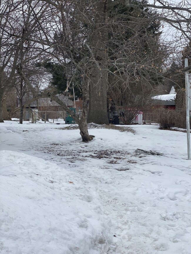 85 Saint Peter St, Winooski, VT 05404 - photo 4