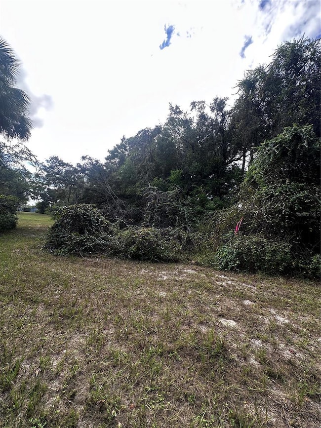 722 Highway 40 W, Inglis, FL 34449 - photo 4