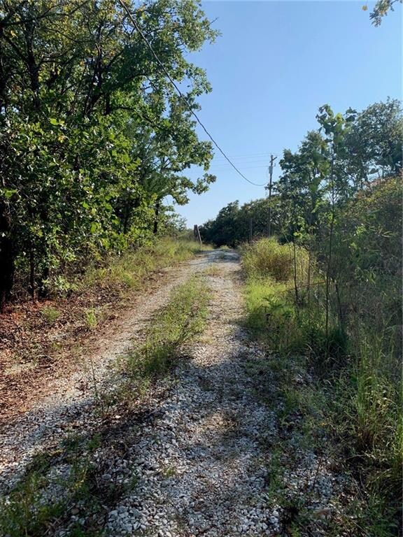 Looking south toward driveway entry.
