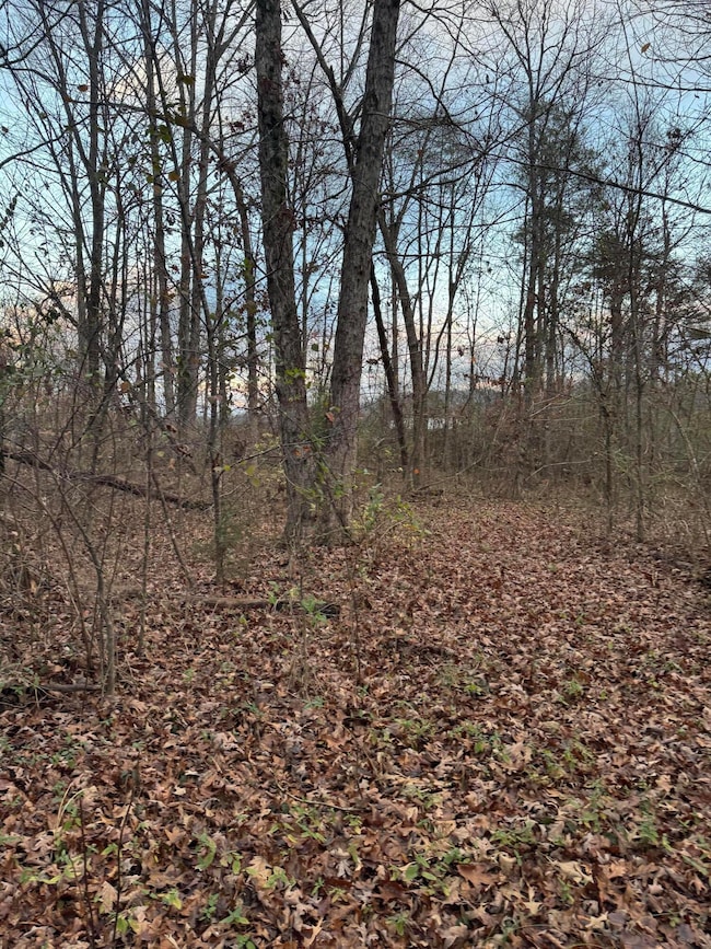 00 County Road 517, Englewood, TN 37329 - photo 4