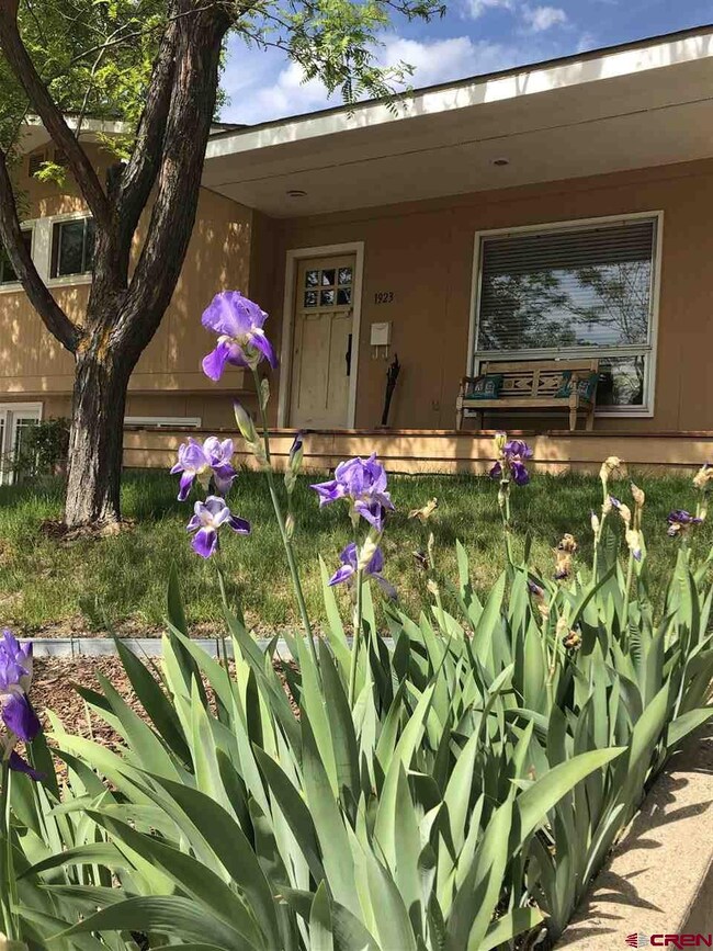 0 Highland Ave, Durango, CO 81301 - photo 2