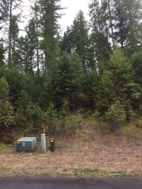 176 Lakeview Ln, Lakeside, MT 59922 - photo 2