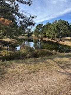 1430 John Wilkes Rd, Lyons, GA 30436 - photo 5