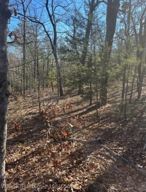 TBD Rural Latimer, Wilburton, OK 74578 - photo 3