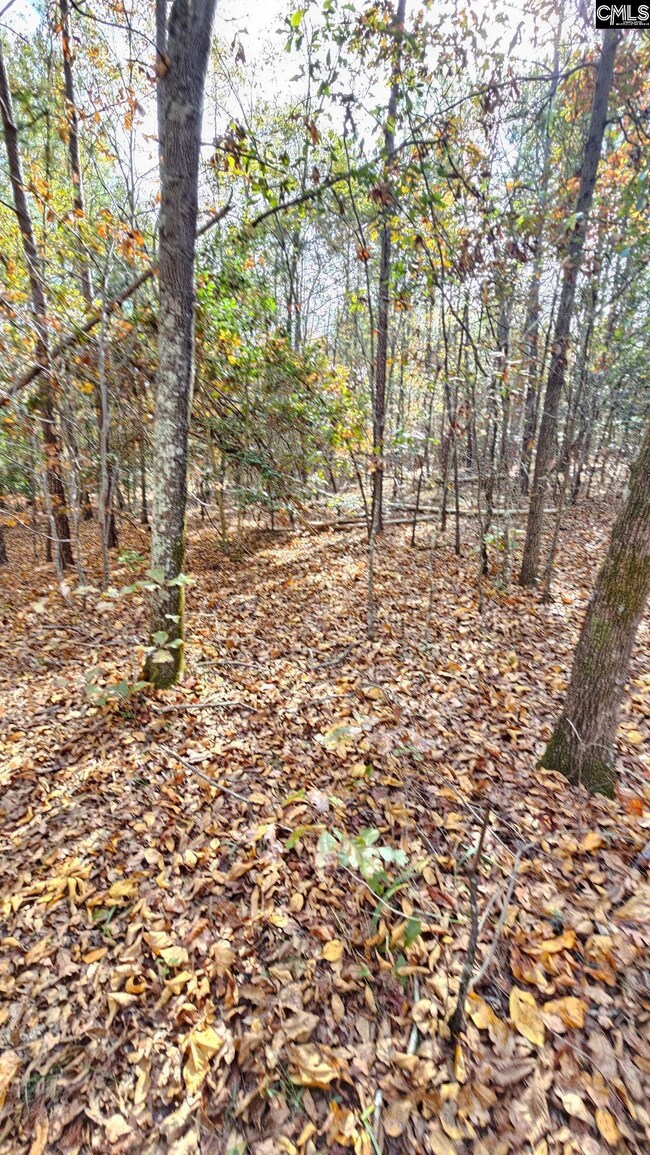 4079 Jefferson Davis Hwy, Bethune, SC 29009 - photo 4