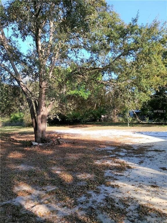 708 N Disston Ave, Tavares, FL 32778 - photo 6