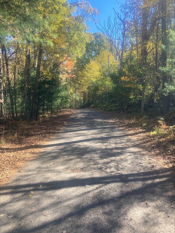 0 Yew St White Ct (Lot 1) unit 73304928, Douglas, MA 01516 - photo 4