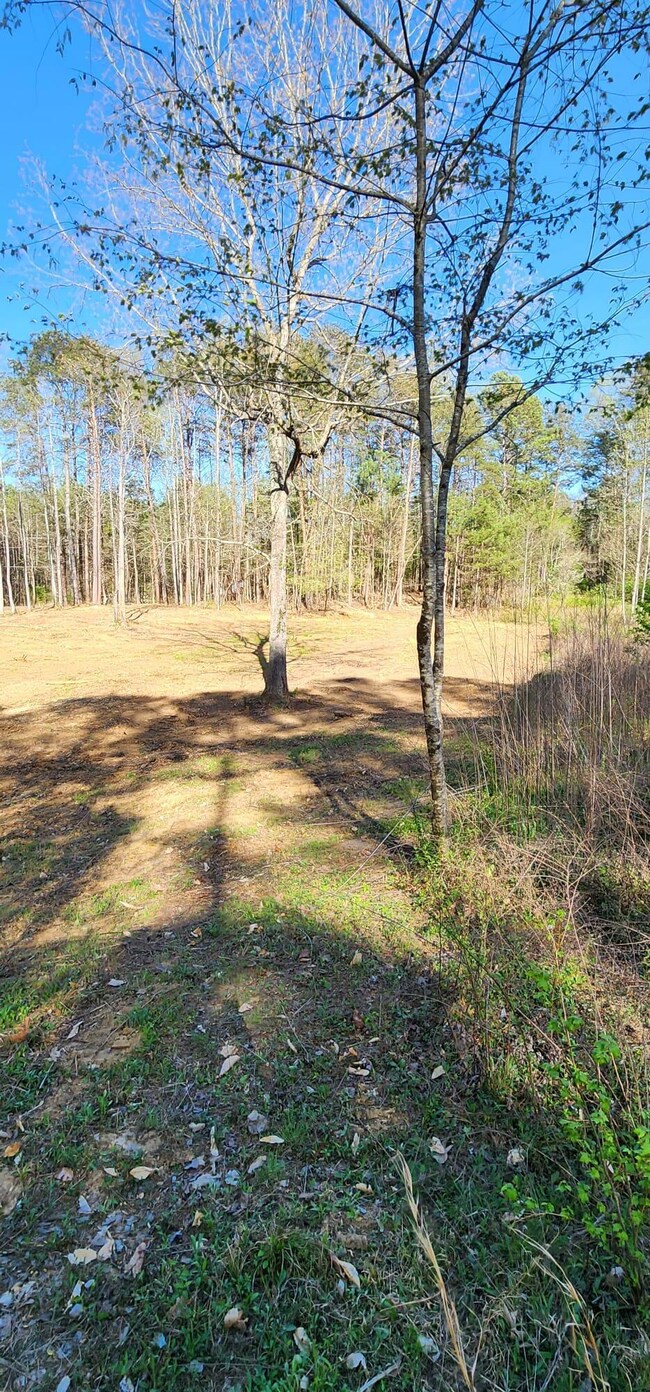 C8755A95-A0E0-48B3-B138-47D8ACC25D88