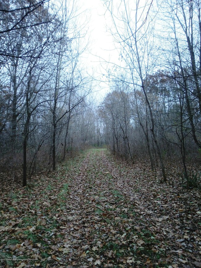 Driveway - East View