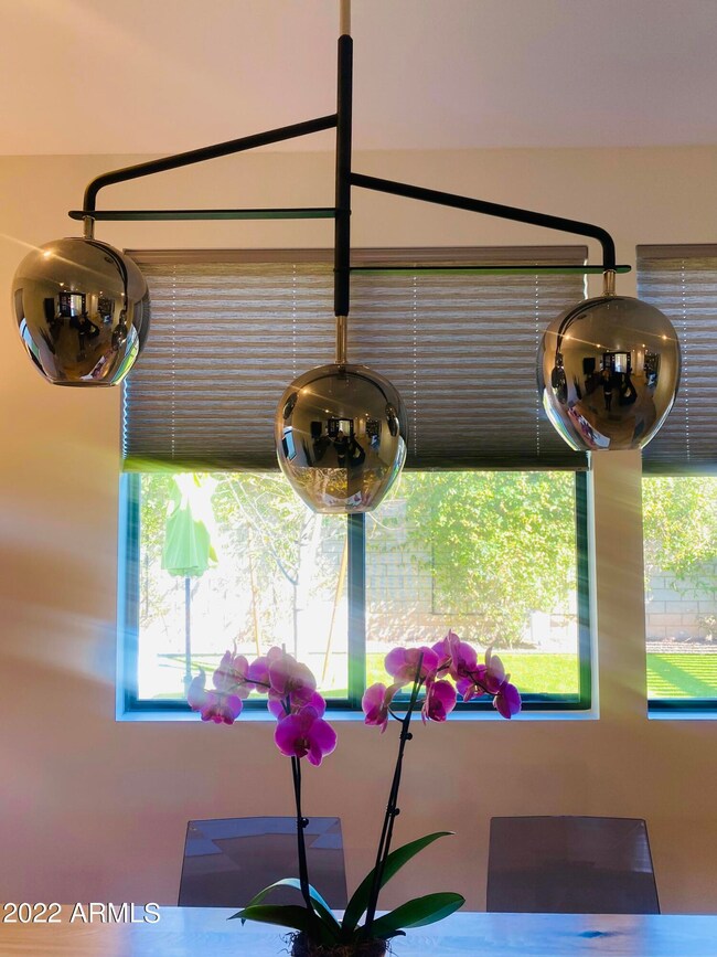 Dining area custom lights