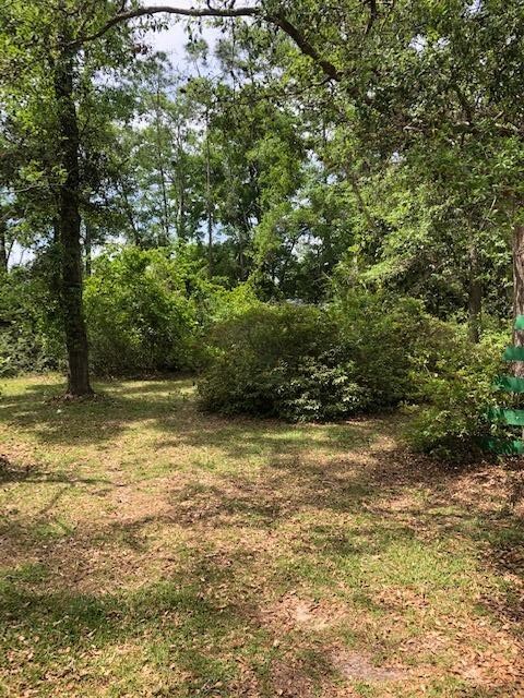 3916 Coastal Hwy, Crawfordville, FL 32327 - photo 6