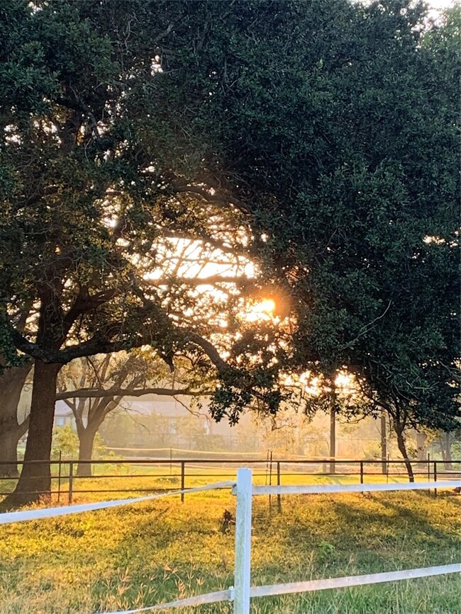 1391 County Road 668, Alvin, TX 77511 - photo 3