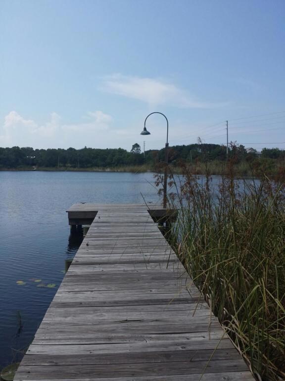 70 Camp Creek Rd N unit 7, Alys Beach, FL 32461 - photo 7