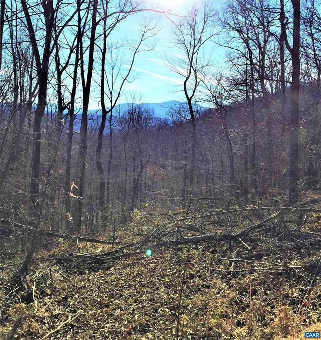 1 Blackberry Ridge Rd, Greenwood, VA 22943 - photo 6