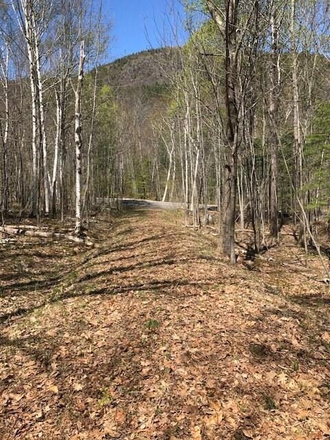 Wonderful views of Bald Mtn....