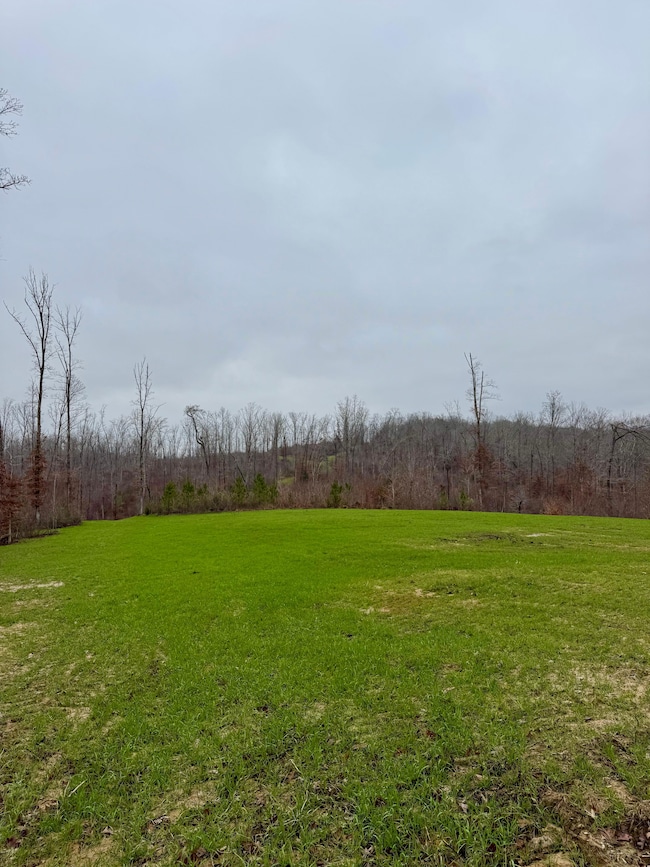 7900 Brooksie Thompson Rd, Bath Springs, TN 38311 - photo 2