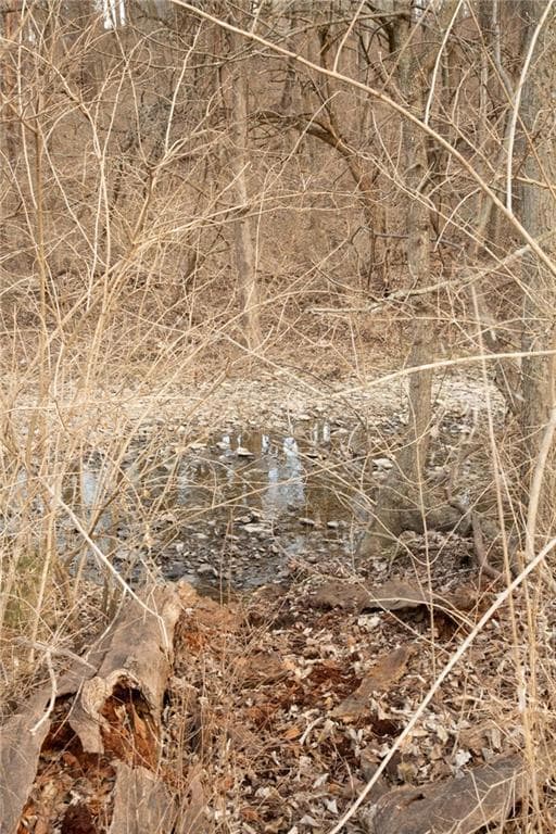 705 NE Noeleen Ln, Lee's Summit, MO 64086 - photo 3