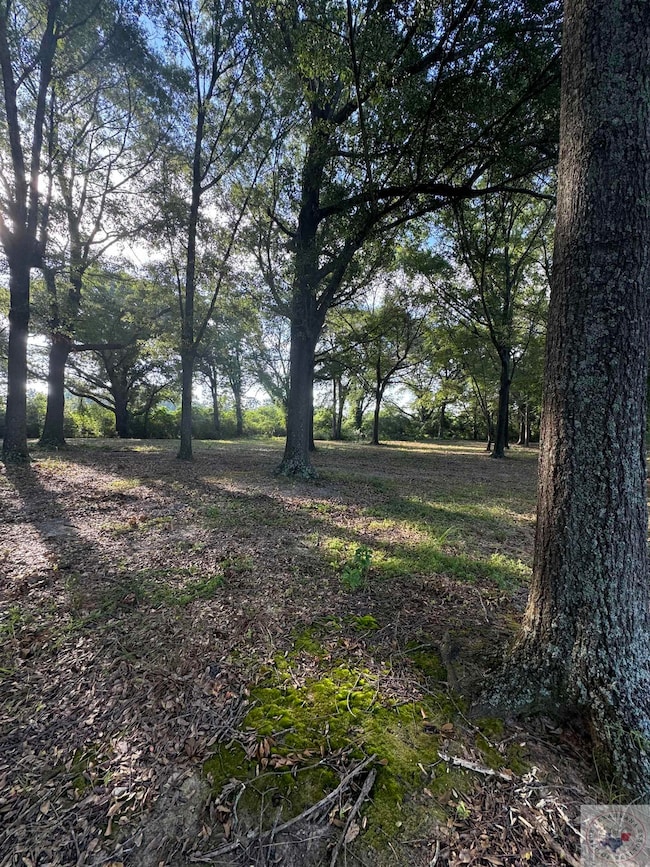 1.4 Acres Quail Creek Cir, Fouke, AR 71837 - photo 4