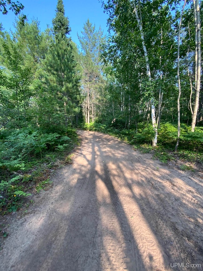 1591 Millyard Rd, Gwinn, MI 49841 - photo 6