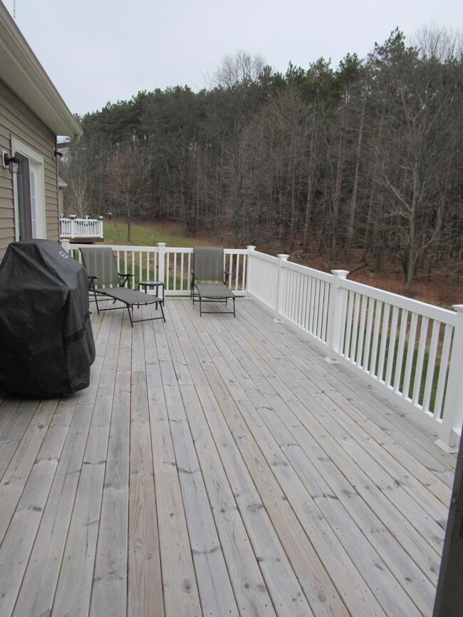 Oversized deck off Michigan Room