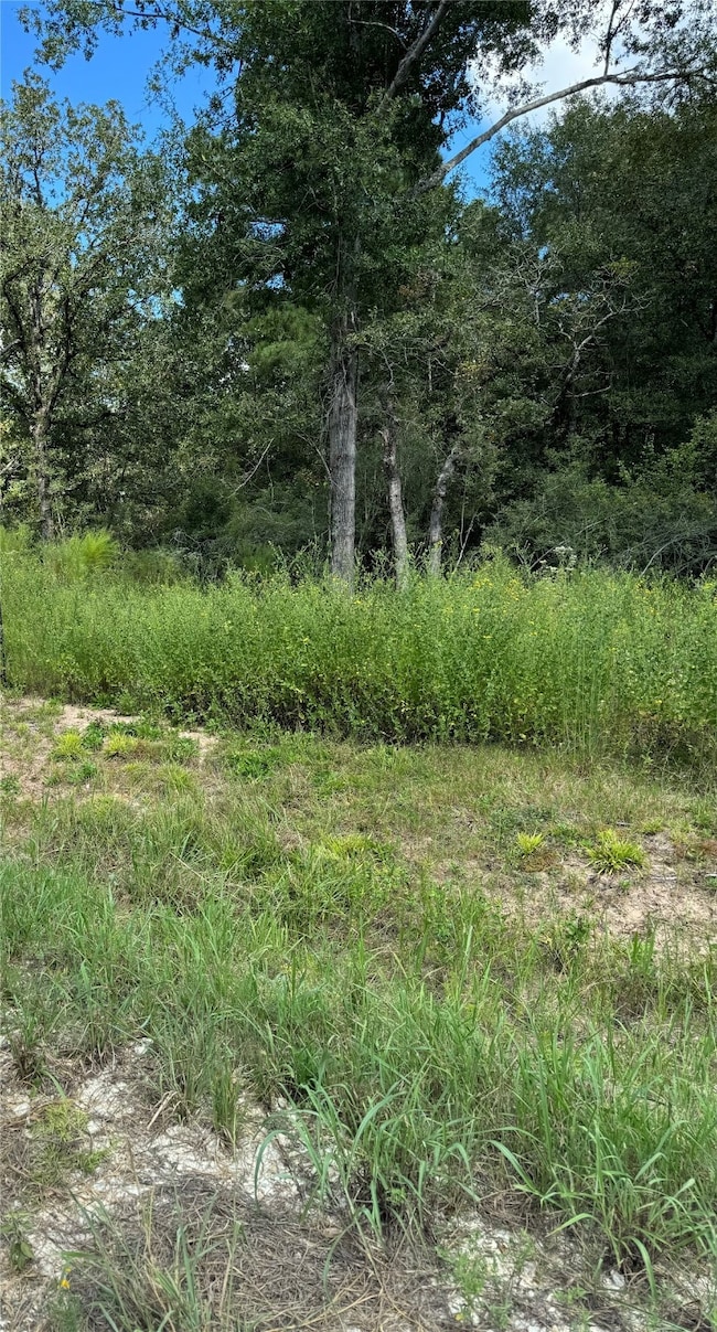 10423 State Highway 21 W, Crockett, TX 75835 - photo 2