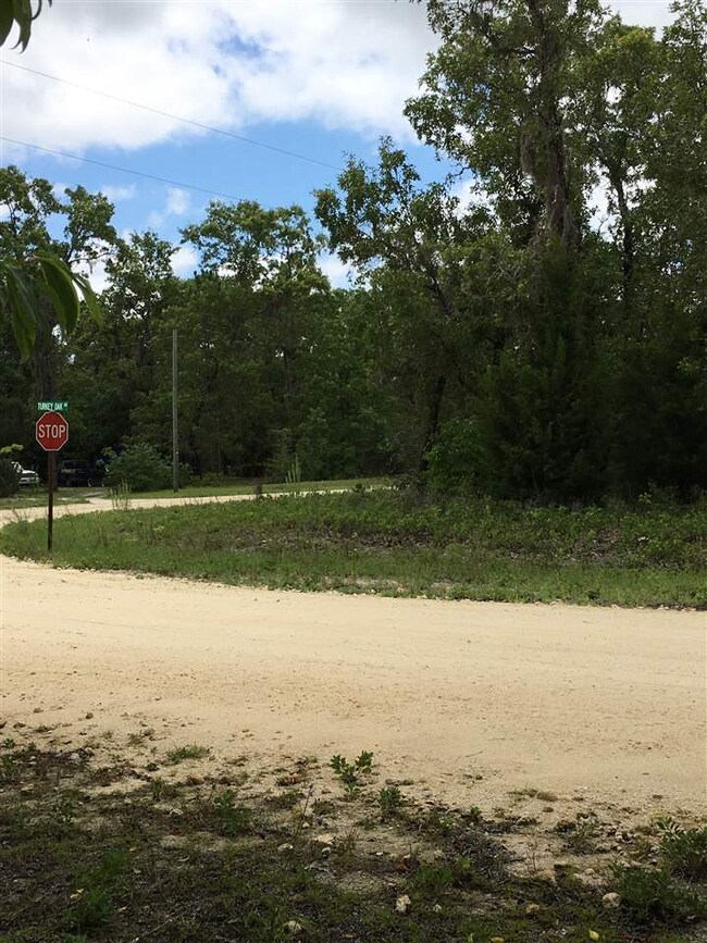 0 Royal Oak Dr unit 144 270476, Perry, FL 32348 - photo 2