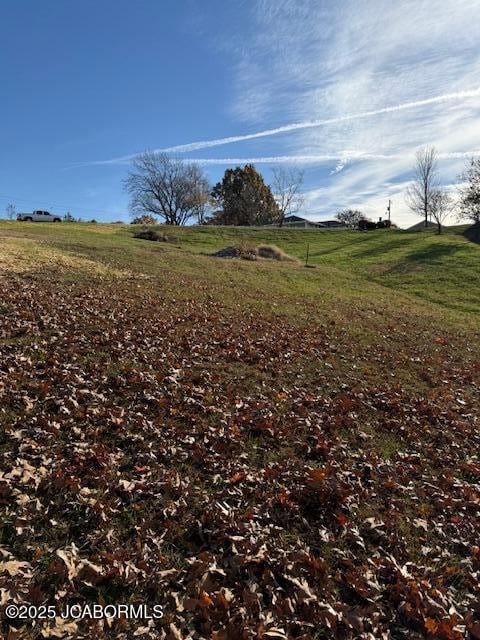 2043 Sterling Ridge Dr, Summit Township, MO 65043 - photo 3