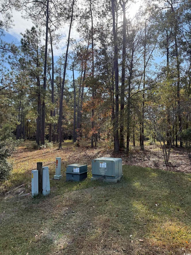 867 Denali Dr, Conway, SC 29526 - photo 3