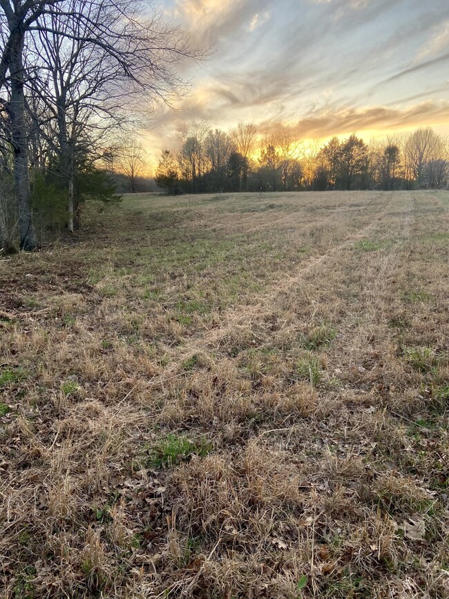 2525 Verona Caney Rd, Lewisburg, TN 37091 - photo 4