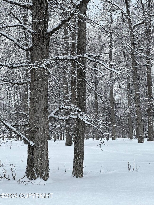 35885 Sterling Hwy, Anchor Point, AK 99556 - photo 7