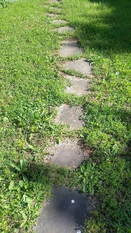 20170521_164954_resized