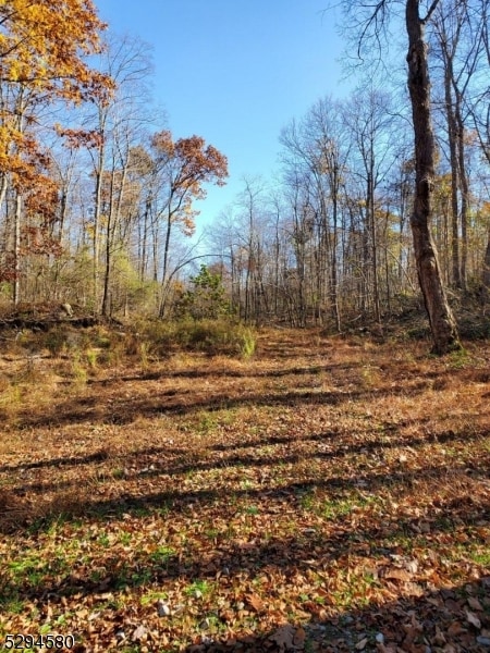 0 Martin St, Newton, NJ 07860 - photo 2