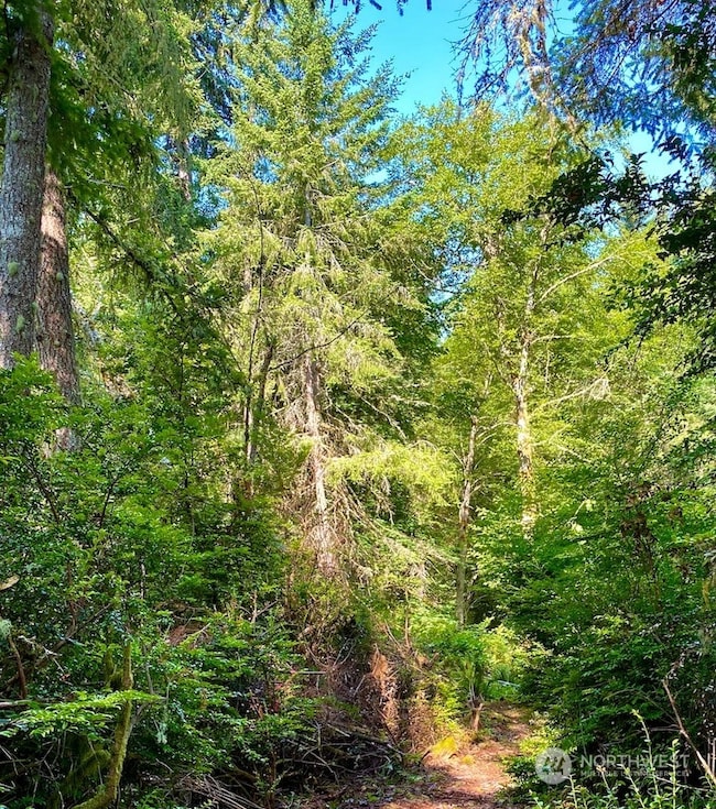 28686 141st Ave SW, Vashon, WA 98070 - photo 6