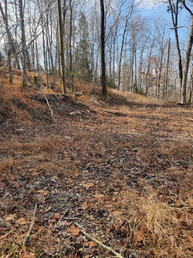 129 Buckeye Dr, Burnside, KY 42519 - photo 5