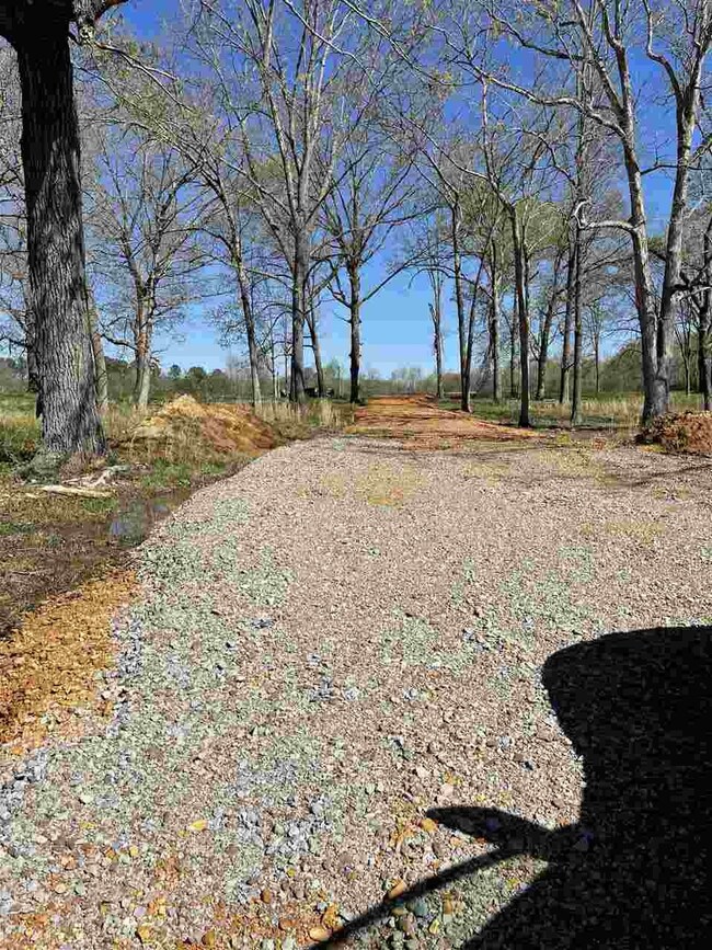 7130 Hwy 22 South Hwy, Michie, TN 38357 - photo 4