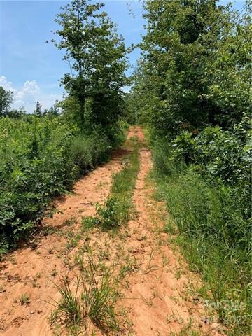 9044 Highway 601, Midland, NC 28107 - photo 3